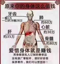 -香薇妮丝·定制减肥·身材管理