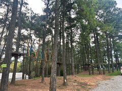 -竹上云想餐厅民宿