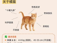 -翊宠yipet猫狗购宠庄园犬舍•猫舍