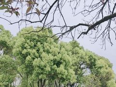 -汉口江滩-江滩观星台