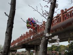-高东镇樱花园
