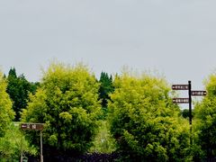 -金谷域澳洲庄园