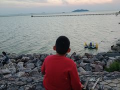 -合肥滨湖国家森林公园