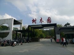 -中山市树木园