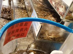 -仙螺岛海鲜自助餐厅(总店)