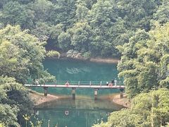 -鼎湖山风景区