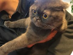 -八公叔叔宠物美容连锁(春申店)