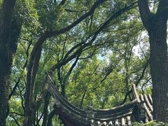 -天一阁博物院