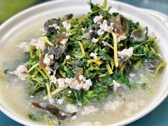 -洞背山庄(洞背院区式管理小区店)