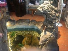 景观位-御膳粥·牛乳粥底火锅·地道顺德菜(容桂店)