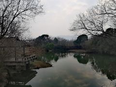 -西溪国家湿地公园