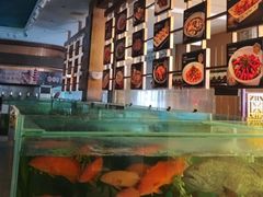 -聚福宝合苑食府(南头镇店)