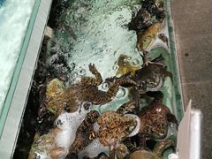 -盒马鲜生(红莲店)