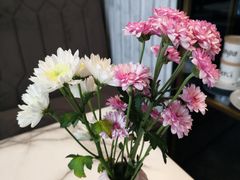 -chenity  cafe