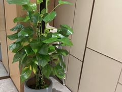 -泓历皇朝酒店(东亭店)