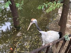 -济南野生动物世界