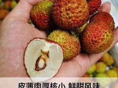 -鲜丰水果(番禺路店)