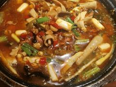 -天辣(金桥啦啦宝都店)