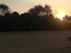 -春兰国宾馆(凤城河风景区老街店)