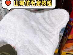 -山姆会员商店(亦庄创意生活广场店)