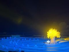 -鼎盛王朝康熙大典实景演出