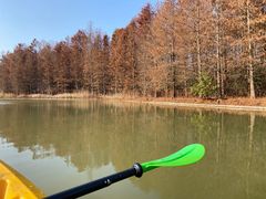 -上海海湾国家森林公园