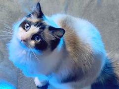 -零纪元VR体验馆·桌游(黄浦店)