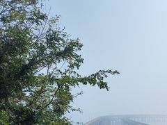 -星海湾跨海大桥