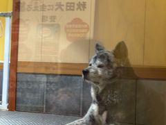 -大江户·温泉洗浴(浑南店)