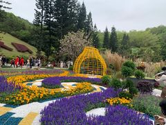 -深圳仙湖植物园