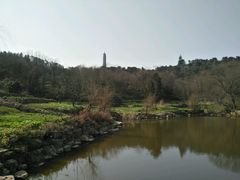 -巢湖姥山岛
