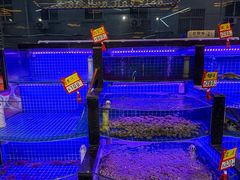 -亿牌牌东北烧烤(博物馆旗舰店)