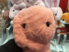-LLJ夹机占(清河万象汇店)