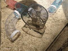 -绿色星球动物主题公园