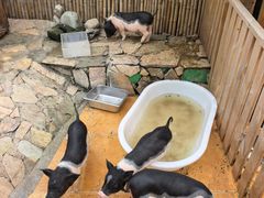 -HERRE·FARM 赫尔露营农场·团建聚会包场