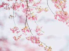 -上海植物园-4号门售票处