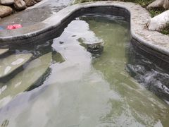 -太白山御龙湾温泉