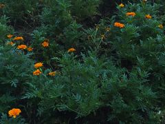 -云南艺术学院(呈贡校区)