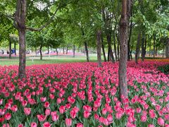 -长春公园(普阳街道)