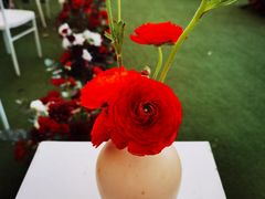 -湖滨客舍·湖北菜