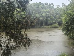 -热带雨林自然公园