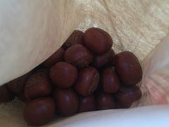 糖炒栗子-方林富炒货店(西溪路78号本人店)