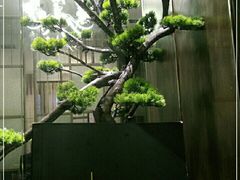 -小蓝鲸湖北菜(八一路店)