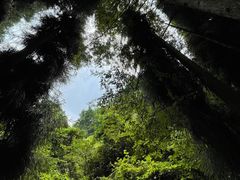 -太阳湾风景区
