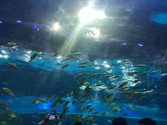 -华夏文旅西安度假区