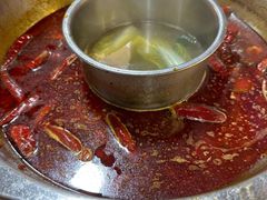 -金鼎雪山牦牛杂火锅(理县总店)