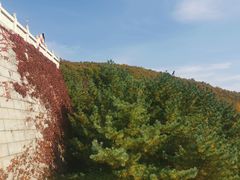 -丹东市五龙山风景区