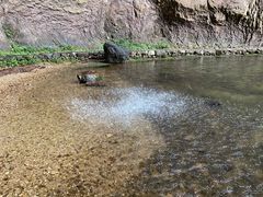 -雁荡山三折瀑景区