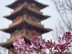 -蒙山大佛景区