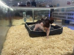 -meland亲子乐园•派对•研学(苏州悠方购物中心店)